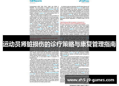 运动员肾脏损伤的诊疗策略与康复管理指南 运动员肾脏损伤的诊疗策略与康复管理指南