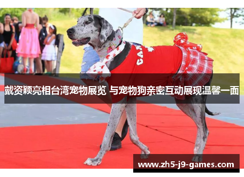 戴资颖亮相台湾宠物展览 与宠物狗亲密互动展现温馨一面 戴资颖亮相台湾宠物展览 与宠物狗亲密互动展现温馨一面
