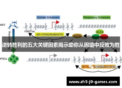 逆转胜利的五大关键因素揭示助你从困境中反败为胜 逆转胜利的五大关键因素揭示助你从困境中反败为胜